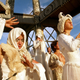 Members of the Naobi Village perform an early morning ritual at the Burning Man Festival in Black Ro..